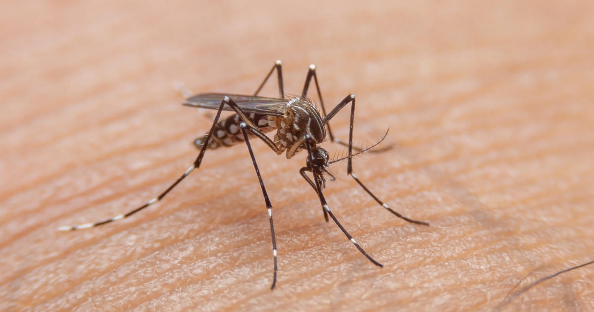 Los casos de dengue en México han aumentado más de 300 por ciento este año