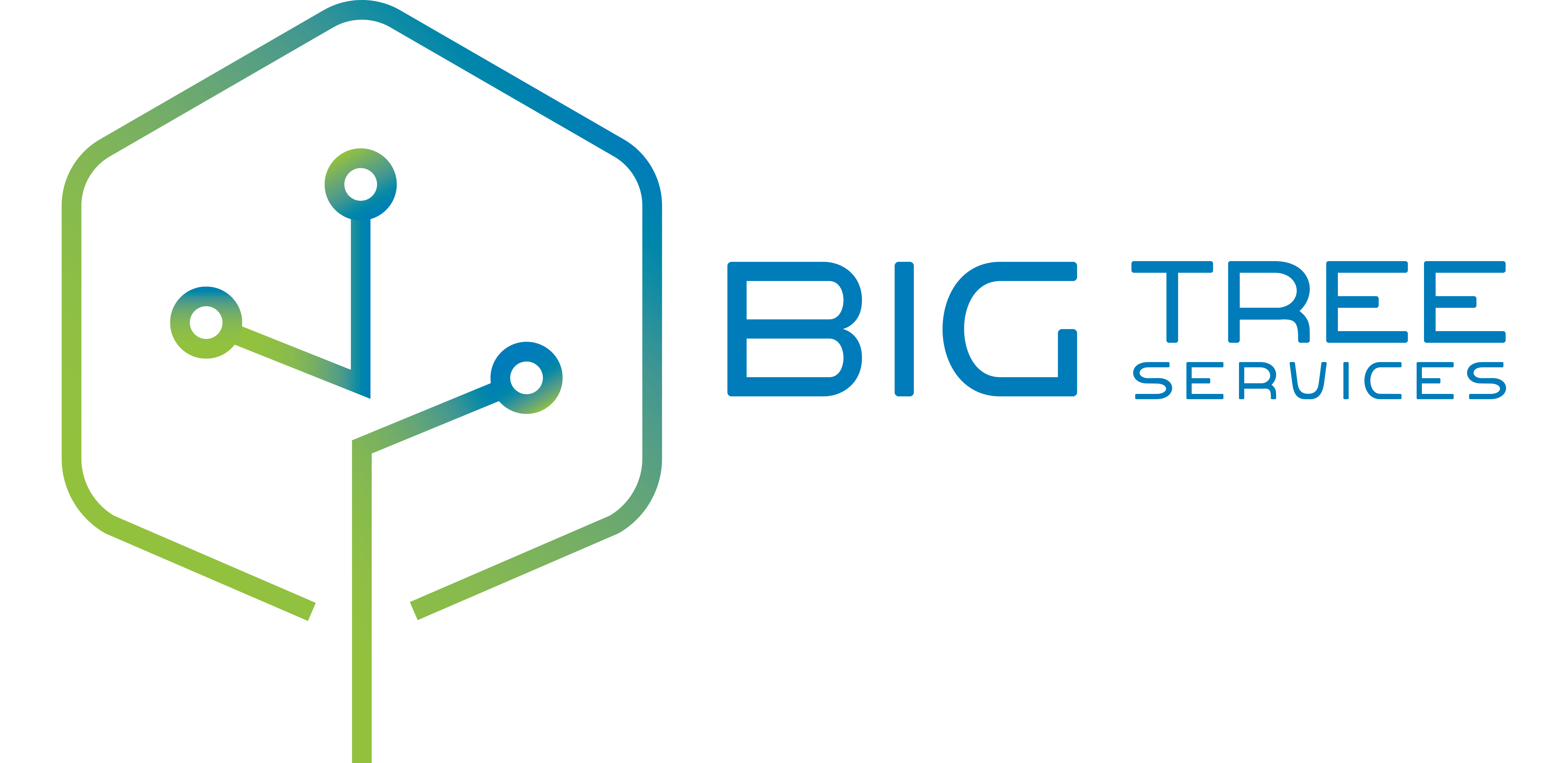 Big Tree Services Logo