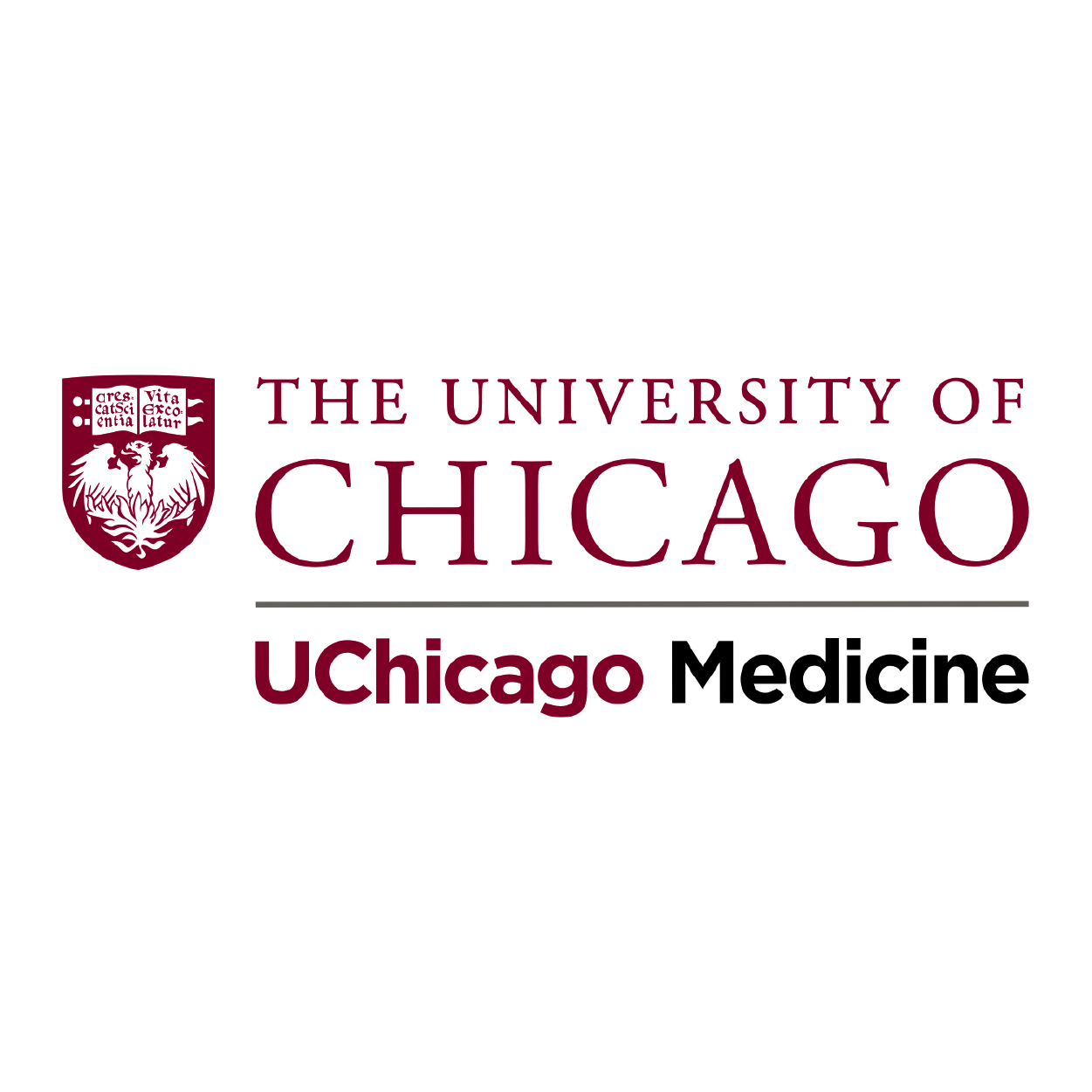 University of Chicago Medicine