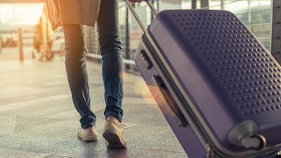 Travel predictions in for 2019