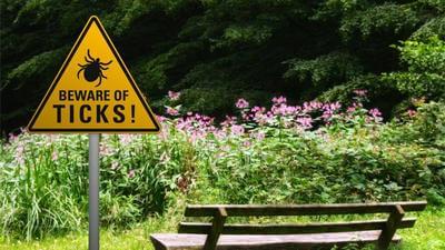 beware of ticks