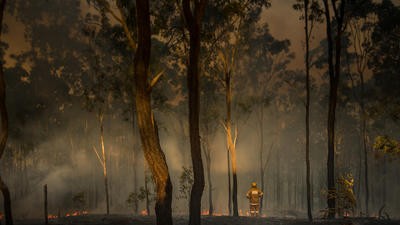 Firefighter observes damage caused by bushfires in Queensland