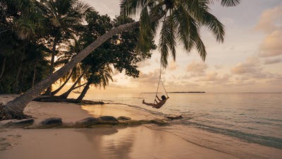 Tropical holiday