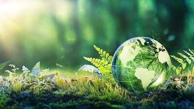 sustainable