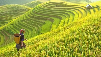 Vietnam