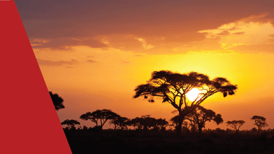 African safari