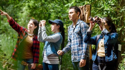 Group of friends walking on an adventure in the forest Look at the map to explore the forest and plan as a team.