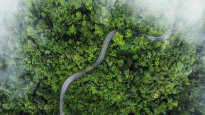 International SOS and Sancroft launch e-learning course to advance sustainable business travel