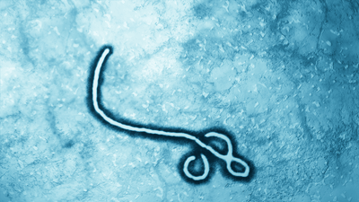 Ebola outbreak exposes fault lines in insurance, assistance, and healthcare, experts warn