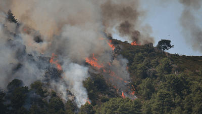 Majority of Spain wildfire victims confirmed as foreign nationals