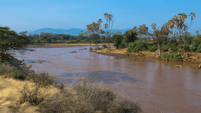 Five US tourists among seven killed in Kenya safari helicopter crash
