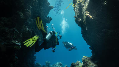 Westfield promotes specialist cover for divers