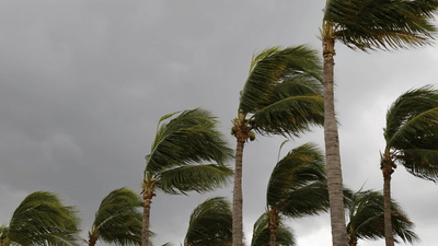 Hurricane Polo raises travel disruption risk along Mexico’s Pacific coast