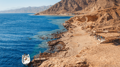 At least 21 killed in Egypt bus crash involving foreign travellers
