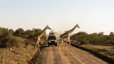 Tanzania mandates travel insurance for foreign visitors