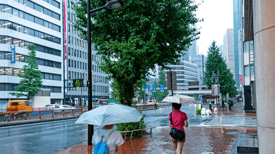 Typhoon Dujuan disrupts travel across Japan as hundreds of flights cancelled