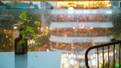 Airbnb and Chubb launch automated rainfall insurance across Europe