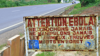 Ebola outbreak raises international travel concerns as cases surpass 10,000 
