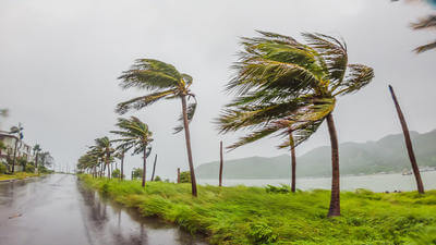 Five ways the travel industry can prepare for a more volatile future