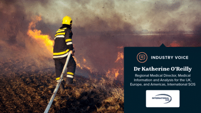 Wildfire and firefighter 