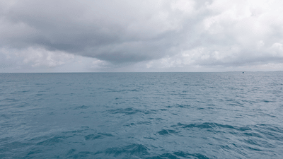 Search continues after Latitude Air Ambulance aircraft disappears off US coast