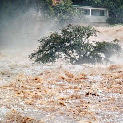 Insurers need climate risk education