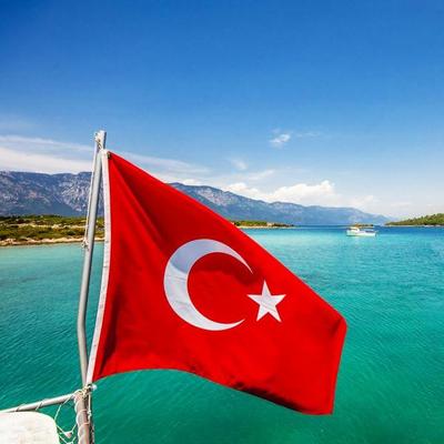 Turkey sees comeback