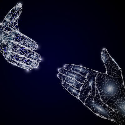 The insurance network