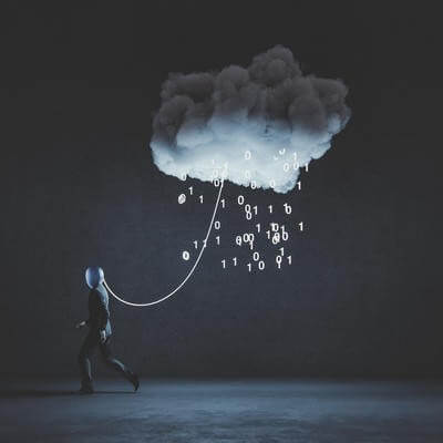 holistic digital lifestyle