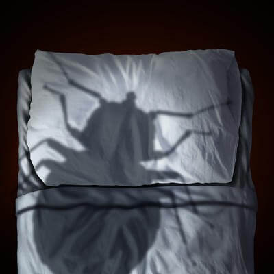 Bedbug fear