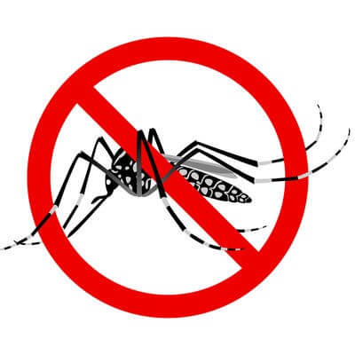 Mosquito Virus