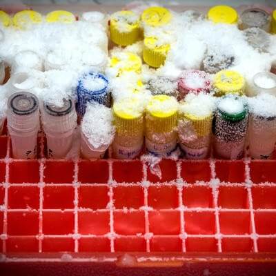 vaccine storage freezer