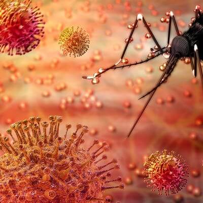 Zika vaccine health travel