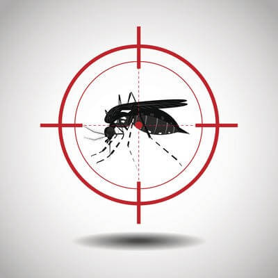malaria control