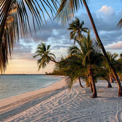 Bahamas beach