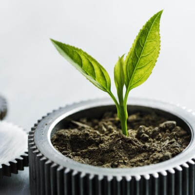 business partnership