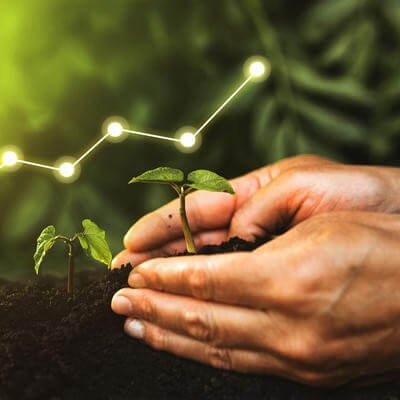 travel insurance growth