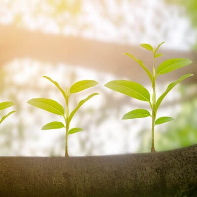 travel insurance market growth