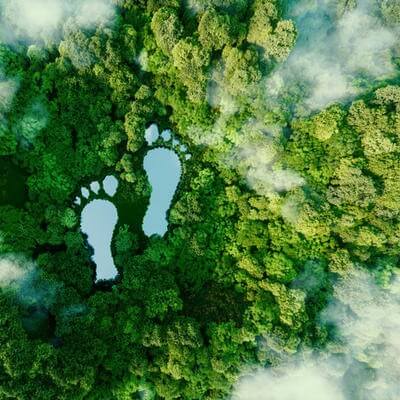 sustainability travel