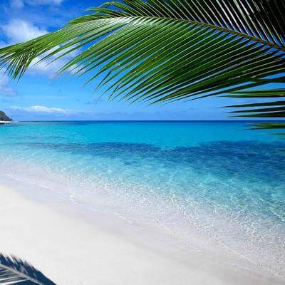 Fiji New Zealand travel insurance