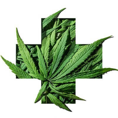 medical cannabis
