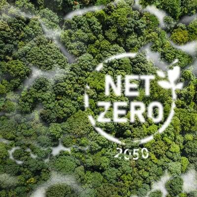 net zero 2050