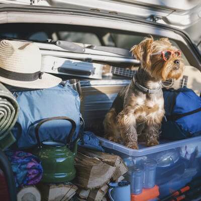 Driving abroad 1271342936