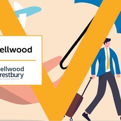 Peter Bellwood travel Industry Voice