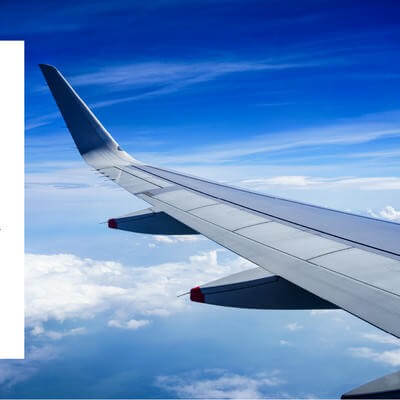 Carlos Fernandez CEO Big Tree Services