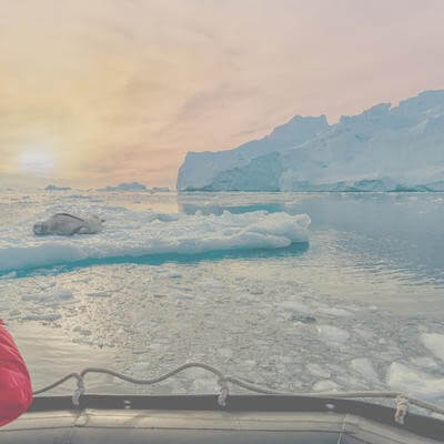 polar GettyImages-1417692098