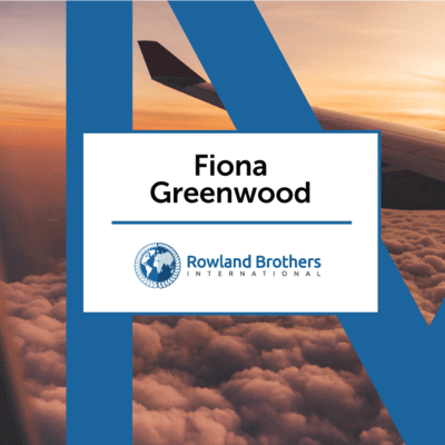 Graphic of plane wings 