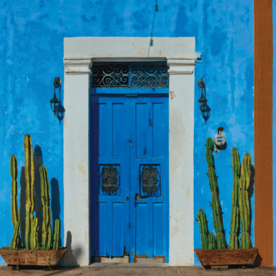 Blue door and cactus