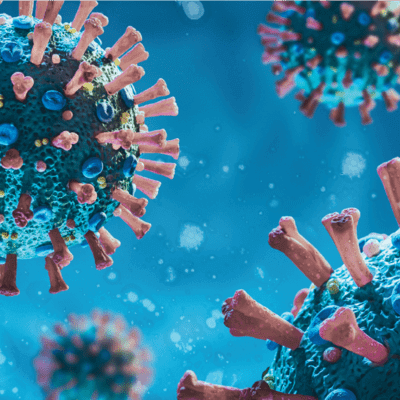 Funeral Support Services Japan