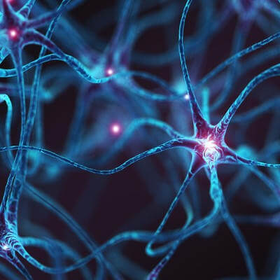 Neurons concept